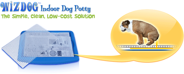 The ideal housebreaking solution