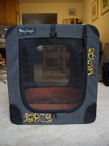 puppy crate training