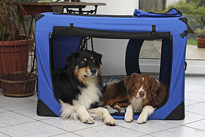 puppy crate training