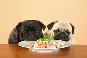 Learn how to stop counter surfing