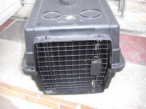 puppy crate training